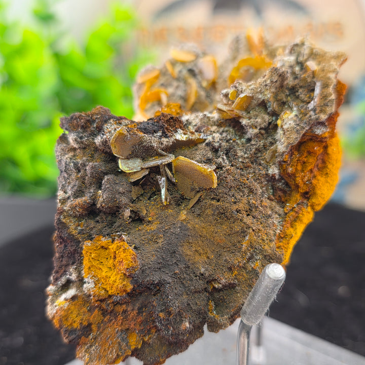 Vibrant Wulfenite specimen from the Erupción-Ahumada Mine, showcasing its unique tetragonal crystal structure.