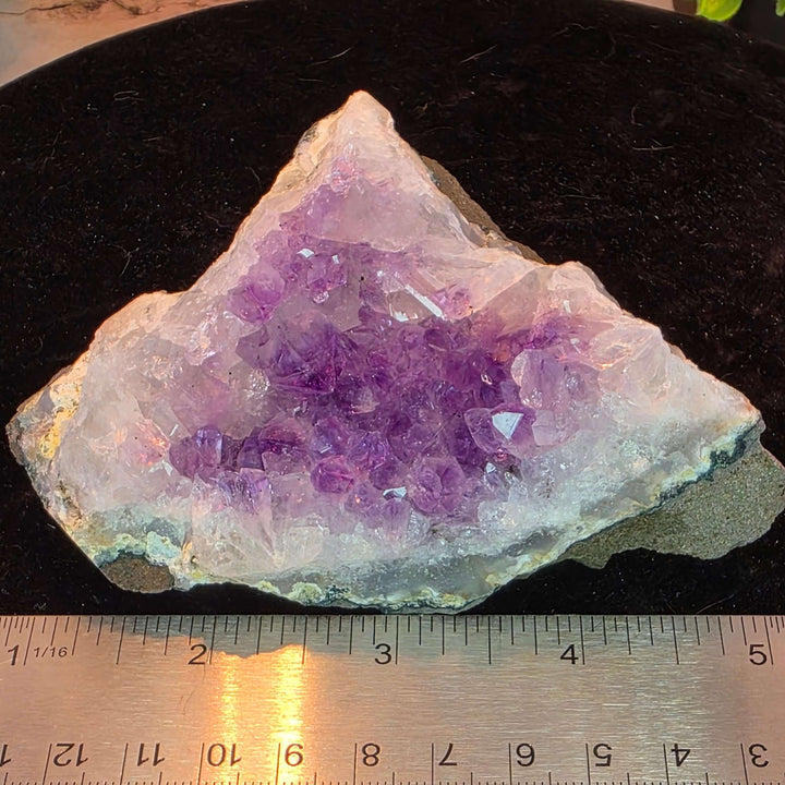 Experience the magic of nature with our exquisite Amethyst Geode Cluster! This stunning piece boasts a captivating array of extremely sparkly, brilliant clear purple crystals that shimmer with every turn. Perfect as a dazzling display piece for your home