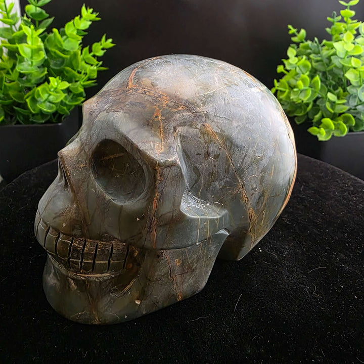 Cherry Creek Jasper Skull Carving - 4.5in