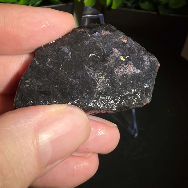 Andamooka Matrix Opal Slab Slice - 76 Carat