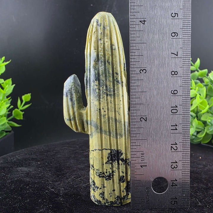 Saguaro Cactus Carving from Peru