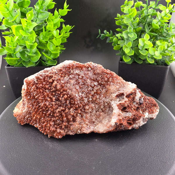 Red Hyalite Opal Specimen Mix from Ojuela Mine