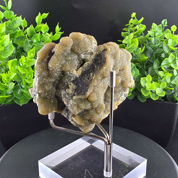 Smithsonite Specimen from Ojuela Mine