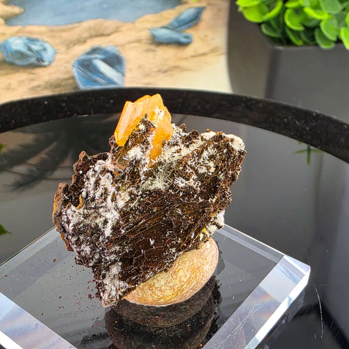 Wulfenite - Erupción-Ahumada Mine, Mexico