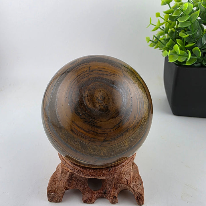 Tiger Iron Polished Sphere Ball - 3.2 Inch displayed on a wooden stand with decorative plants in the background.