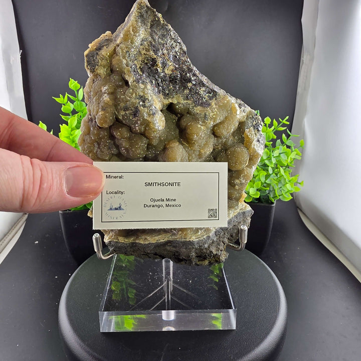 Smithsonite Specimen from Ojuela Mine