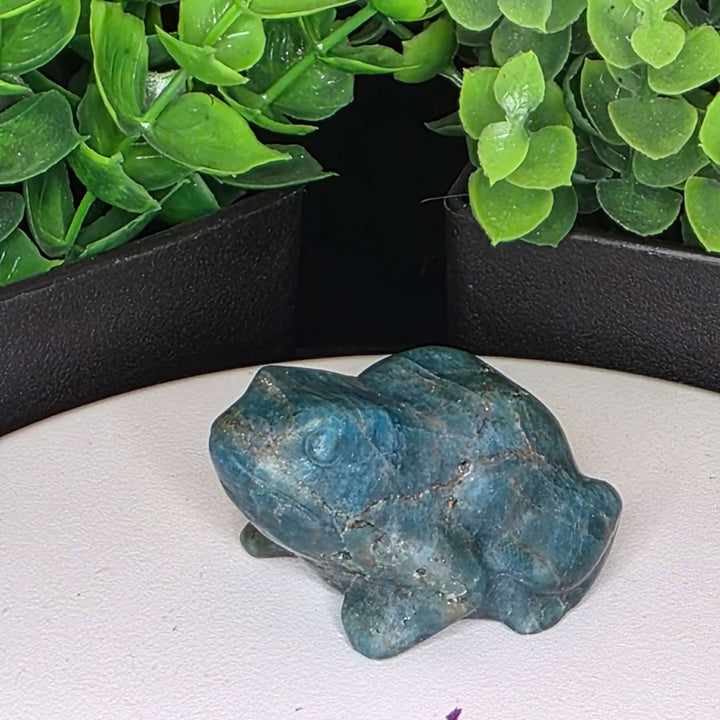 Natural blue apatite frog carving, vibrant color, unique character, decorative piece for desk or shelf.