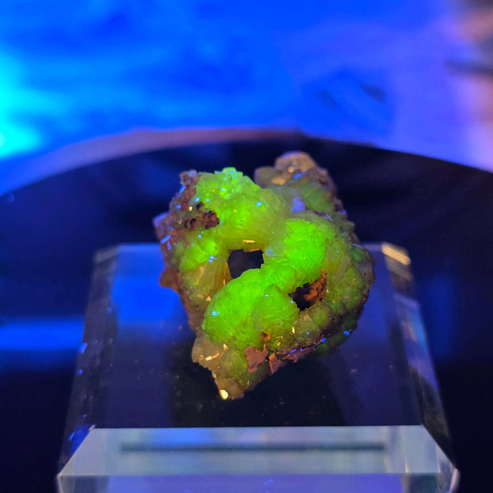 Vibrant Adamite Specimen from Ojuéla Mine exhibiting glowing green crystal formations.