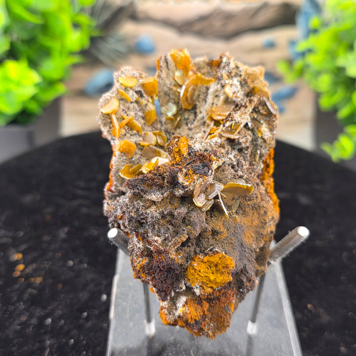 Vibrant Wulfenite specimen from Erupción-Ahumada Mine, Mexico, highlighting tetragonal crystal habit.