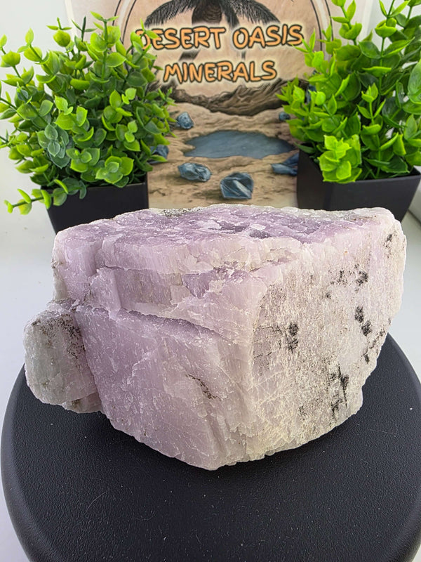 Kunzite Rough Specimen