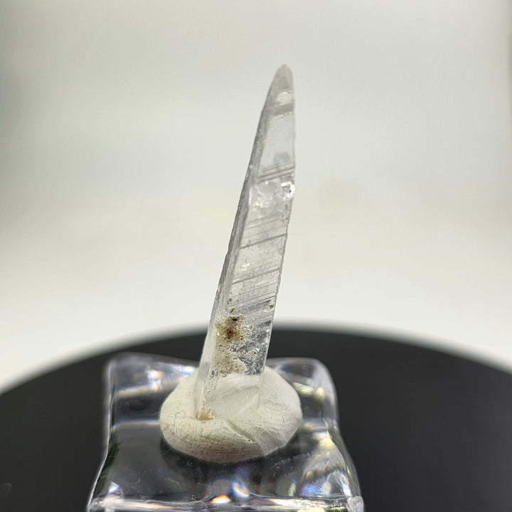 Nifontovite specimen - Rey y Reina Mine Charcas Mexico displayed on a clear base with a white background.