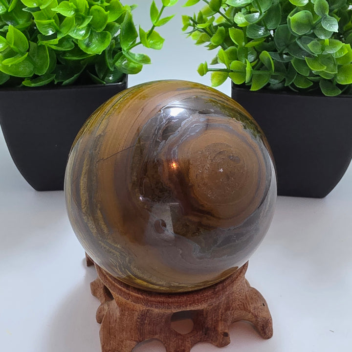 Tiger Iron Polished Sphere Ball - 3.2 Inch displayed on a wooden stand with decorative plants in the background.