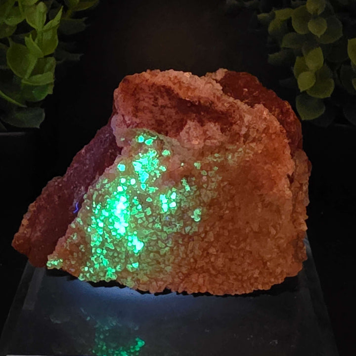 Red Hyalite Opal Specimen Mix from Ojuela Mine