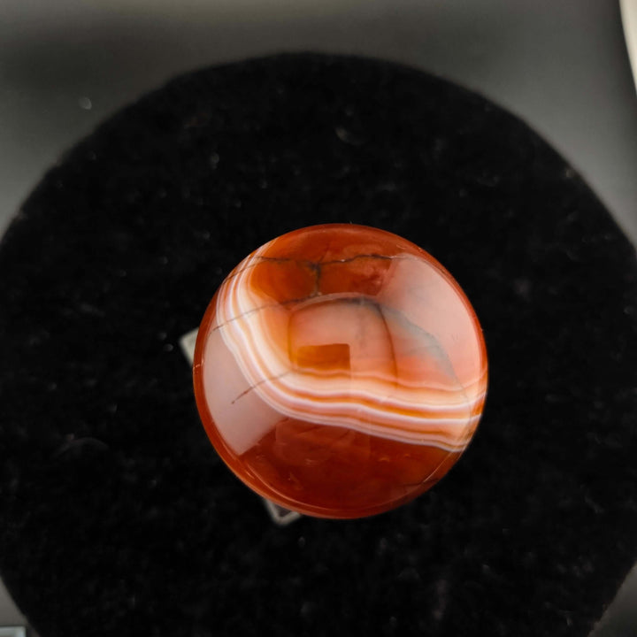 Polished Sard Sphere -56mm