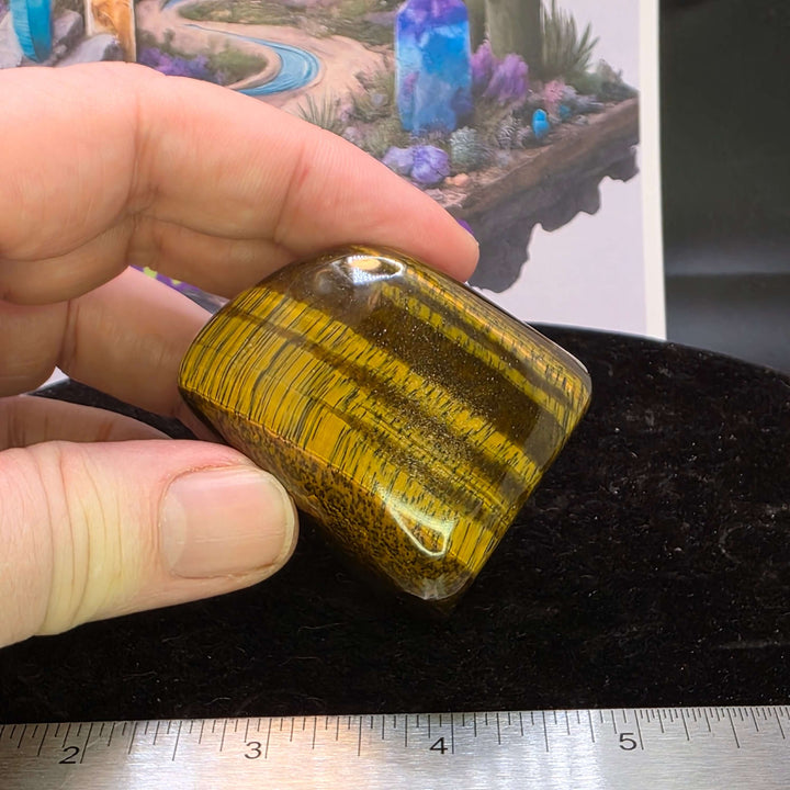 Hand holding a polished Tiger's Eye freeform showing golden color and chatoyancy effect.