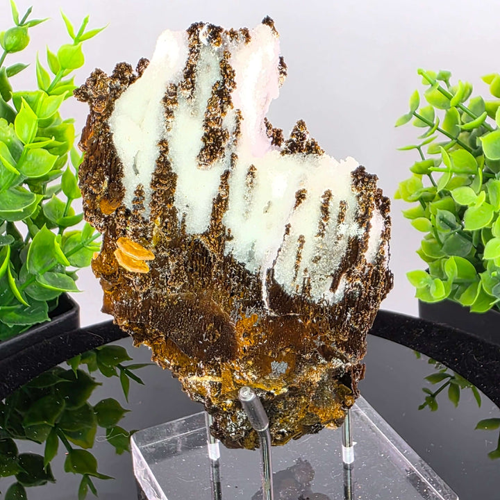 Wulfenite - Erupción-Ahumada Mine, Mexico