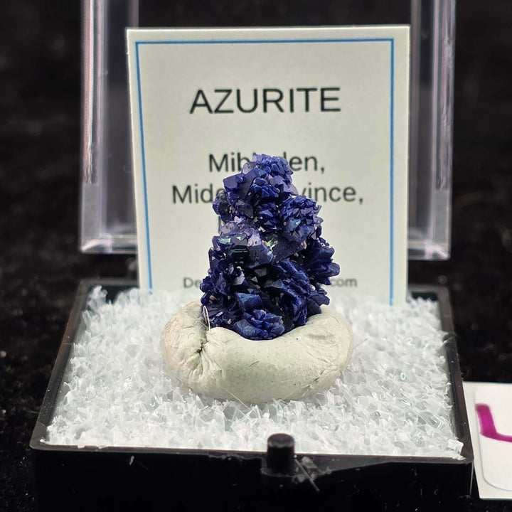 We're thrilled to offer a new selection of Azurite specimens, each mounted within an acrylic "Perky" display box for optimal protection and viewing. These exceptional pieces originate from the renowned Mibladen mining district in Morocco, an area well-kno