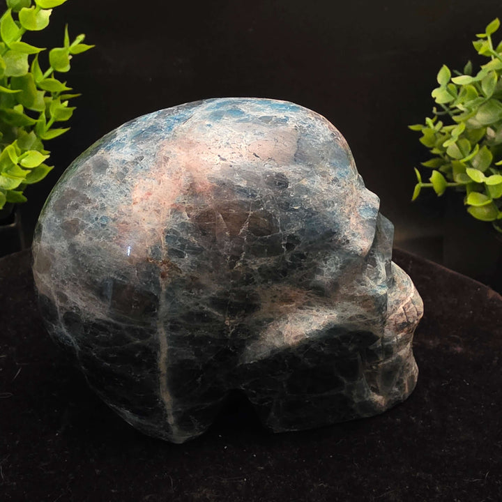 Blue Apatite Crystal Skull Carving - 4 inch, vibrant skull-shaped decorative crystal.