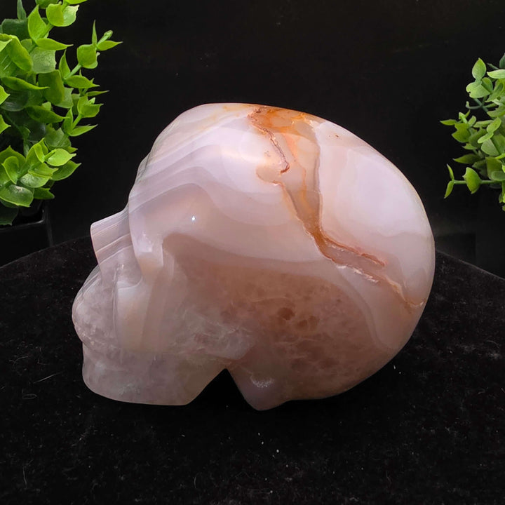 White Banded Agate Skull Carving - 3.5 Inch, hand-carved with distinct geological patterns and unique natural bands.