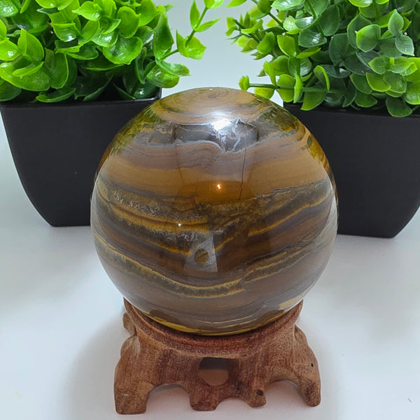 Tiger Iron Polished Sphere Ball - 3.2 Inch displayed on a wooden stand with decorative plants in the background.