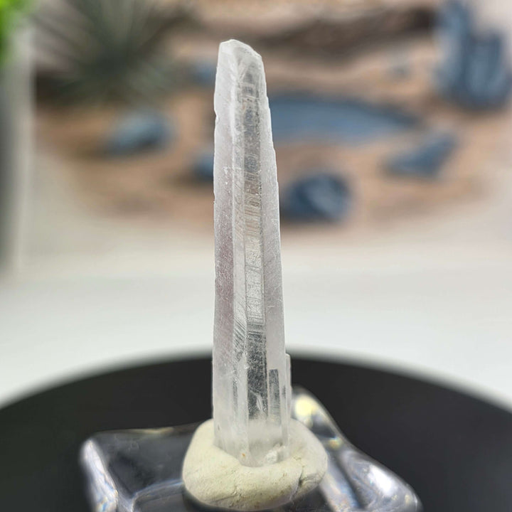 Nifontovite Specimen - Rey y Reina Mine Charcas Mexico displayed on a pedestal with a mineral backdrop.