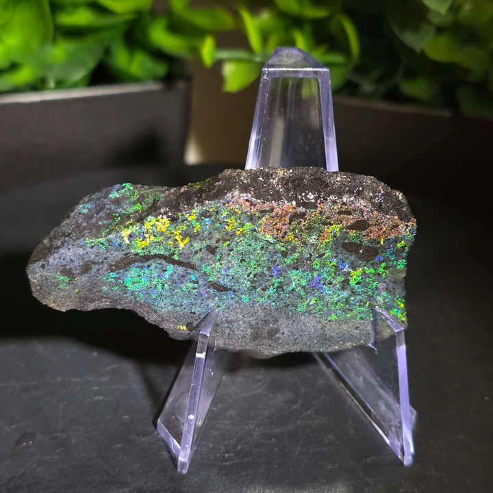 Andamooka Matrix Opal Slab Slice - 108 Carat