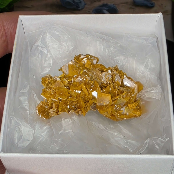 Vibrant Wulfenite specimen from Erupción-Ahumada Mine, Mexico, showcasing its classic tetragonal crystal habit.
