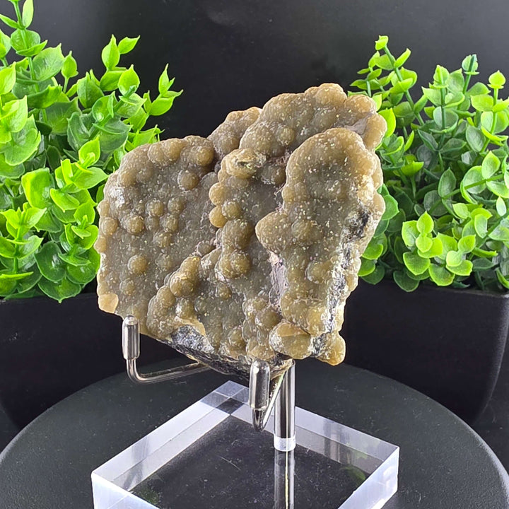 Smithsonite Specimen from Ojuela Mine
