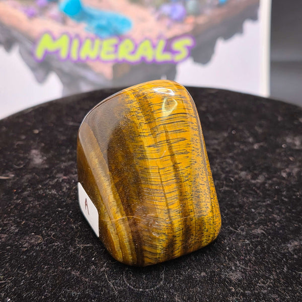 Polished Tiger's Eye freeform showcasing shimmering golden chatoyancy and smooth finish.