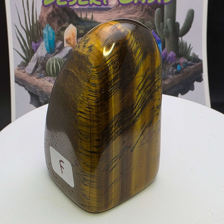 Polished Tiger's Eye freeform showcasing chatoyancy and golden hues, perfect for decor or healing purposes.