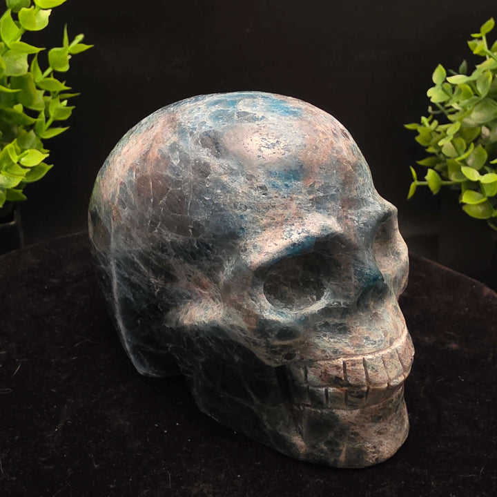 Blue Apatite Crystal Skull Carving - 4 inch, vibrant skull-shaped decorative crystal.