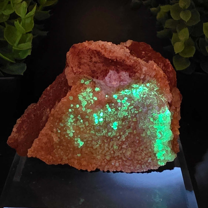 Red Hyalite Opal Specimen Mix from Ojuela Mine