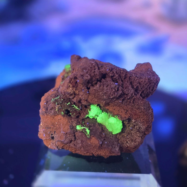 Vibrant Adamite Specimen from Ojuéla Mine exhibiting glowing green crystal formations.