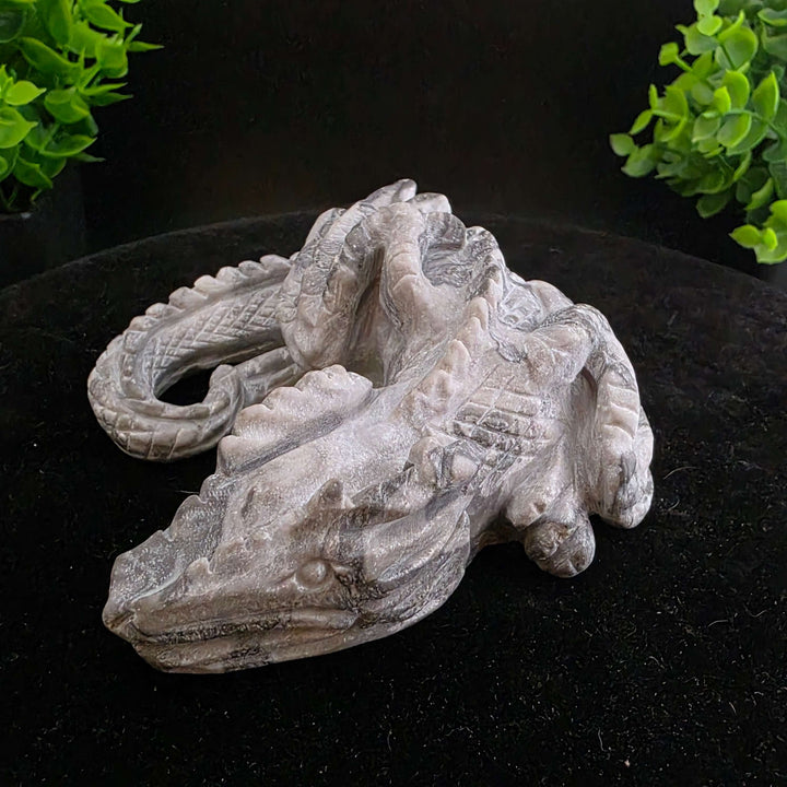 Sleeping Dragon Carvings - Picasso Jasper - 4in