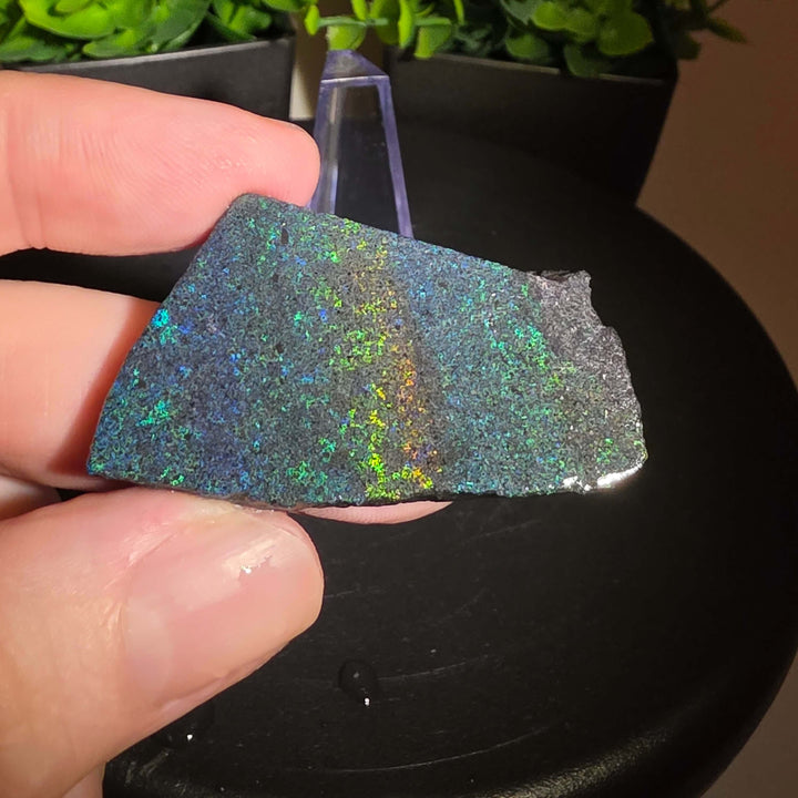 Andamooka Matrix Opal Slab Slice showcasing vibrant colors and natural matrix texture in wet condition