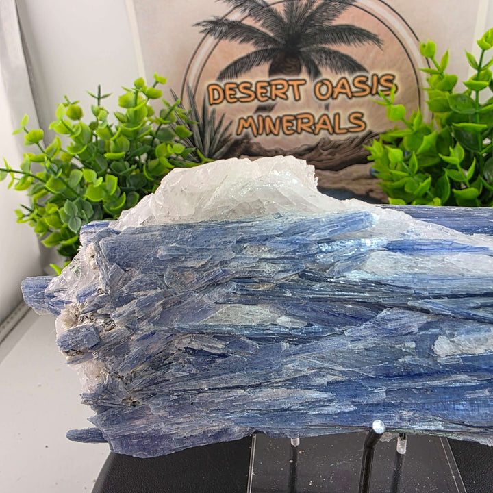 Blue Kyanite - Brazil