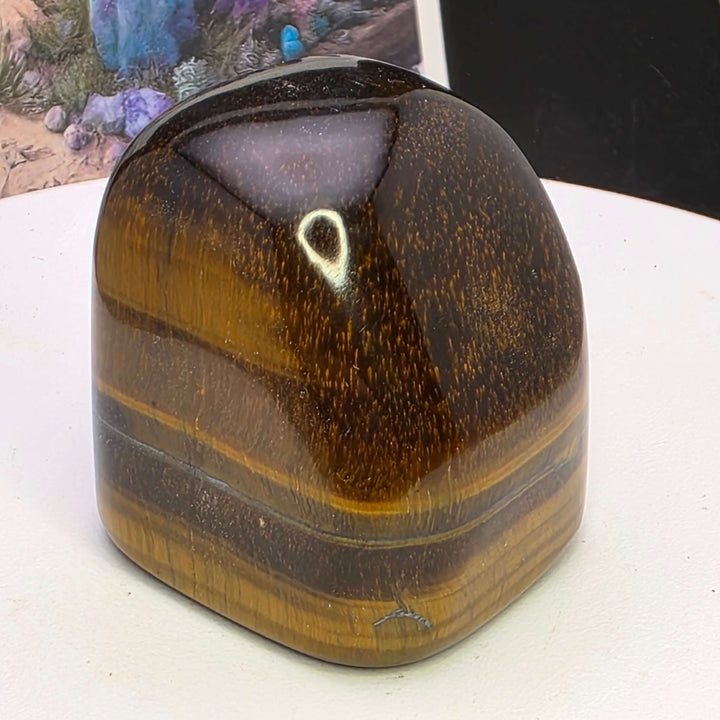 Polished Tiger's Eye freeform showcasing shimmering golden chatoyancy and smooth surface, ideal for collectors.