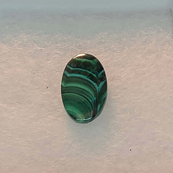Bring the vibrant energy of nature into your home, or your next creative project, with our stunning Malachite Cabochon Pairs. Each pair features beautifully polished malachite, showcasing its unique swirling patterns, elegantly presented in a crisp white