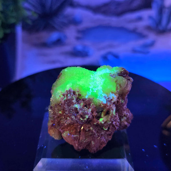 Vibrant Adamite Specimen from Ojuéla Mine exhibiting glowing green crystal formations.
