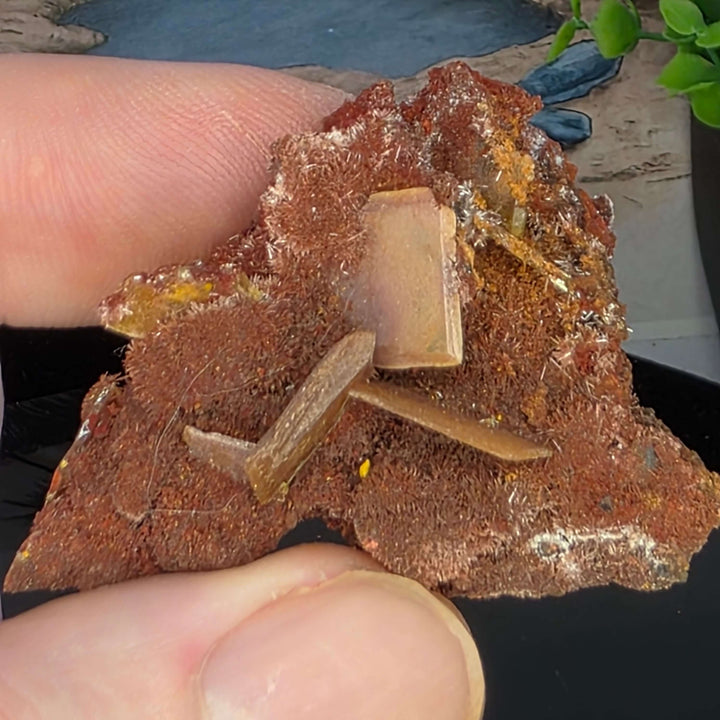 Wulfenite - Erupción-Ahumada Mine, Mexico