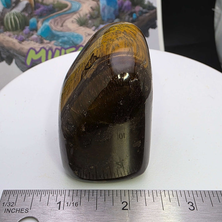 Polished Tiger's Eye freeform with golden chatoyancy, smooth texture, and natural beauty on display.