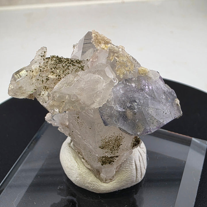 Fluorite Specimen - Yaogangxian Mine China showcasing beautiful quartz point with intergrown fluorite crystals.