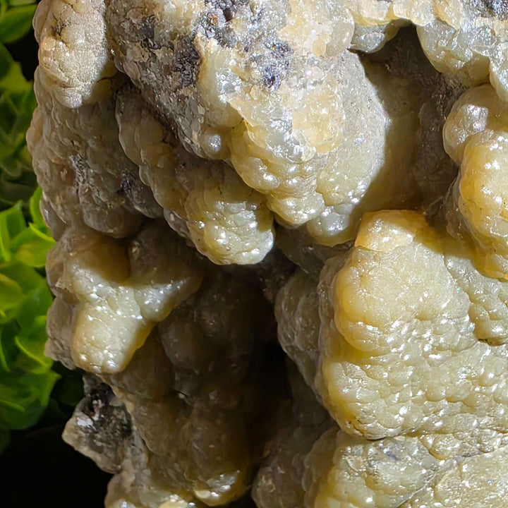 Smithsonite Specimen from Ojuela Mine