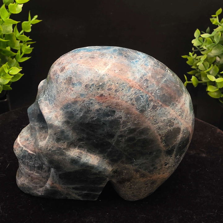 Blue Apatite Crystal Skull Carving - 4 inch, vibrant skull-shaped decorative crystal.