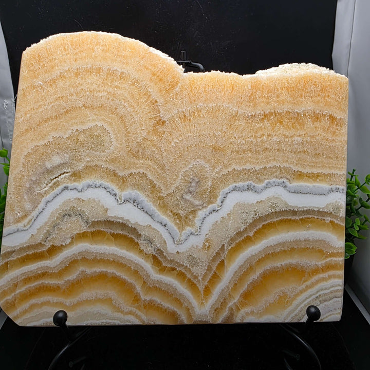 Yellow Banded Calcite Slab / Slice