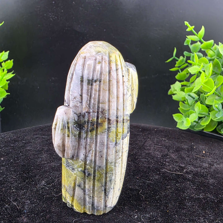 Saguaro Cactus Carving from Peru