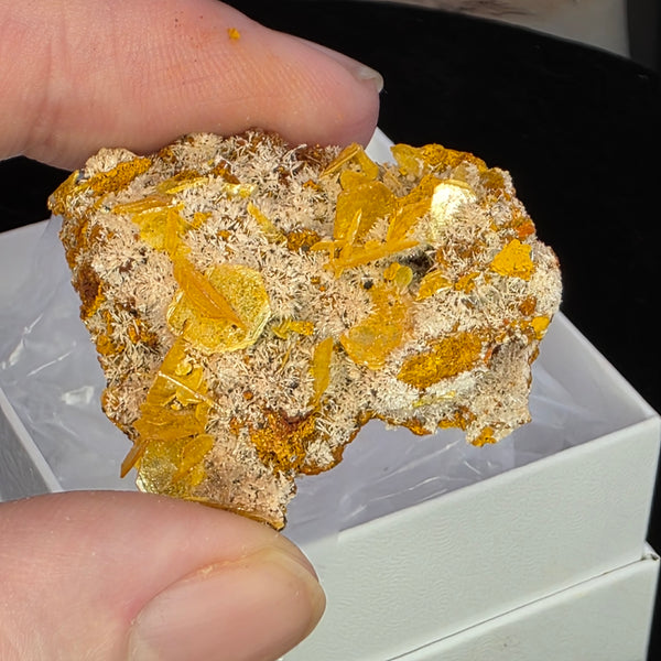 Wulfenite - Erupción Mine, Mexico
