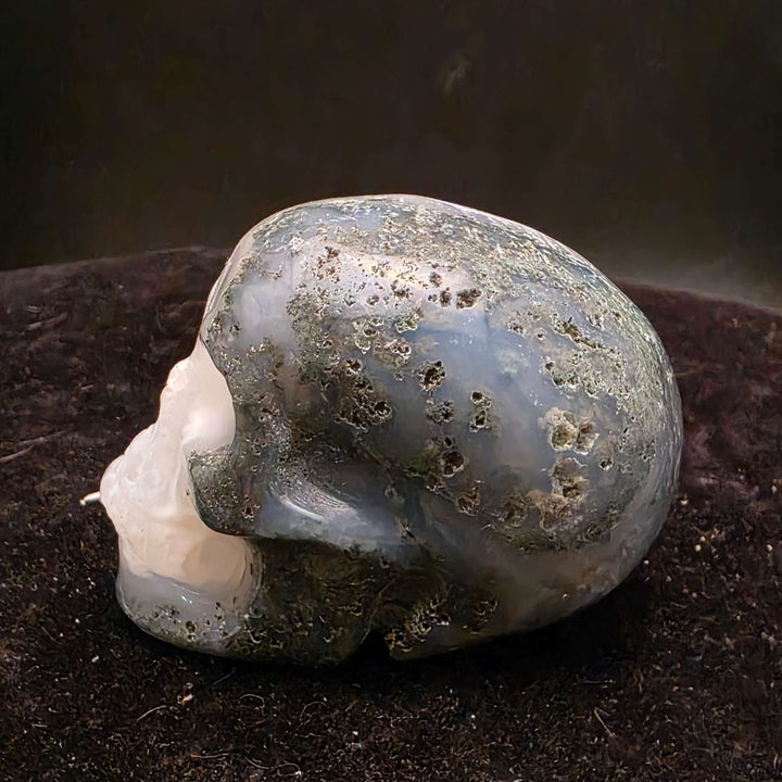 Moss Agate Skull Carving - 2 inch featuring unique blue-green inclusions and milky Quartz for a painterly appearance.