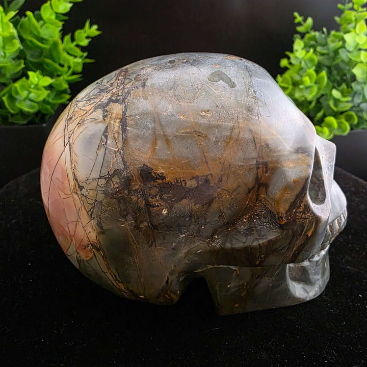 Cherry Creek Jasper Skull Carving - 4.5in