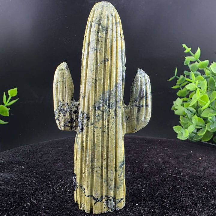 Saguaro Cactus Carving from Peru